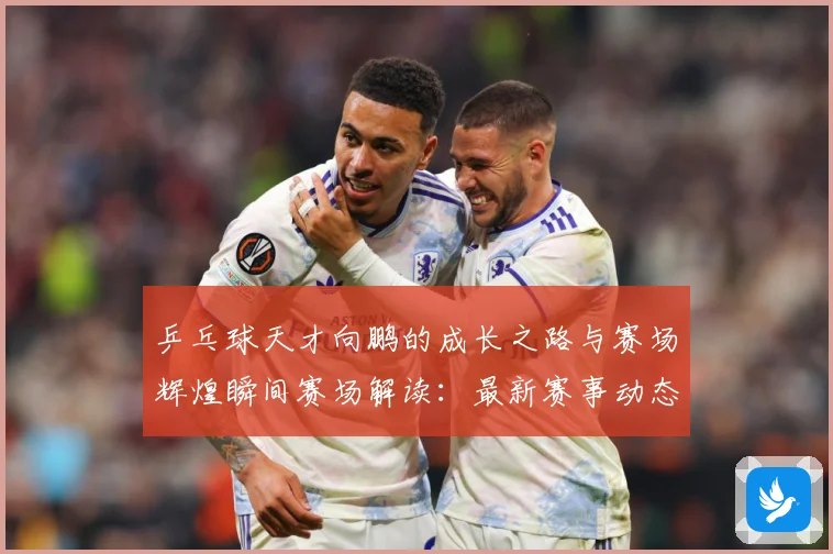 乒乓球天才向鹏的成长之路与赛场辉煌瞬间赛场解读：最新赛事动态与深度分析